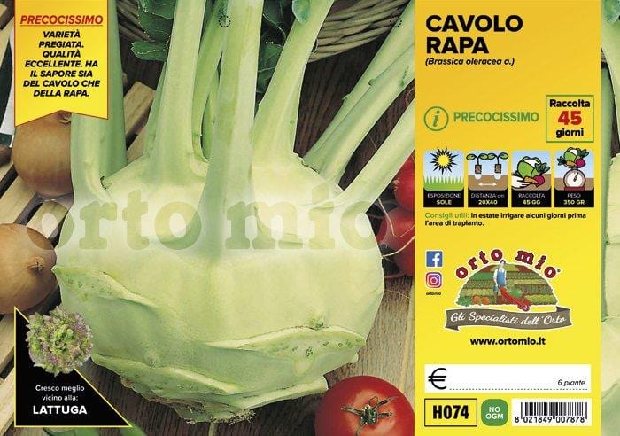 Cavolo Rapa Bianco Quickstar F1 - 6 piante - Orto Mio