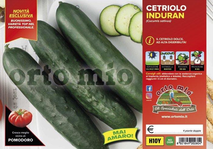 Cetriolo digeribile Induran F1 - 4 piante - Orto Mio