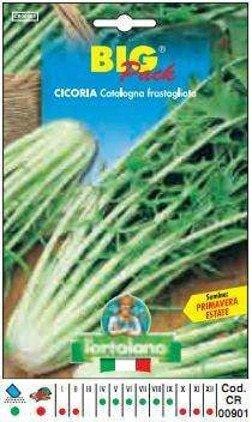 Cicoria Catalogna Frastagliata Big Pack - L'Ortolano