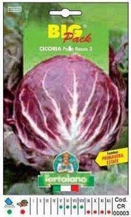 Cicoria Palla Rossa 3 Big Pack - Busta Sementi Per Orto