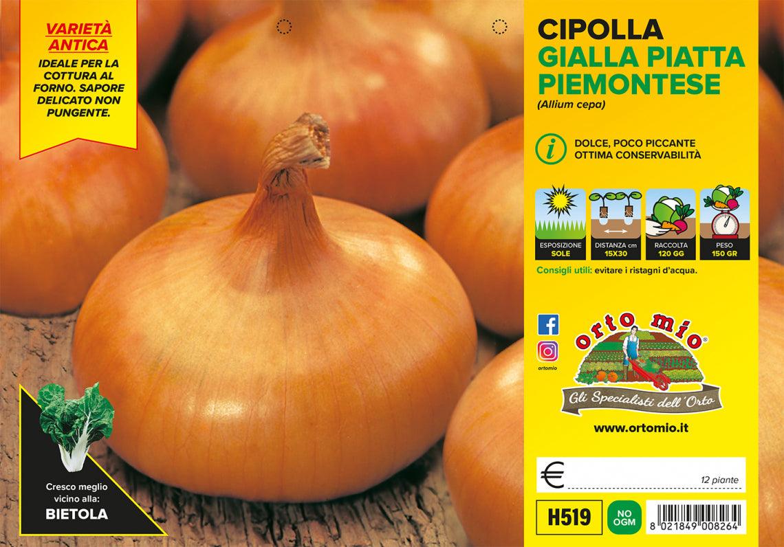 Cipolla gialla piatta piemontese - Vaschetta 12 piante - Orto Mio