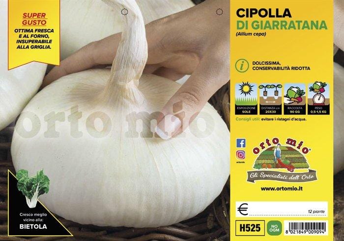 Cipolla gigante di Giarratana - 12 piante - Orto Mio