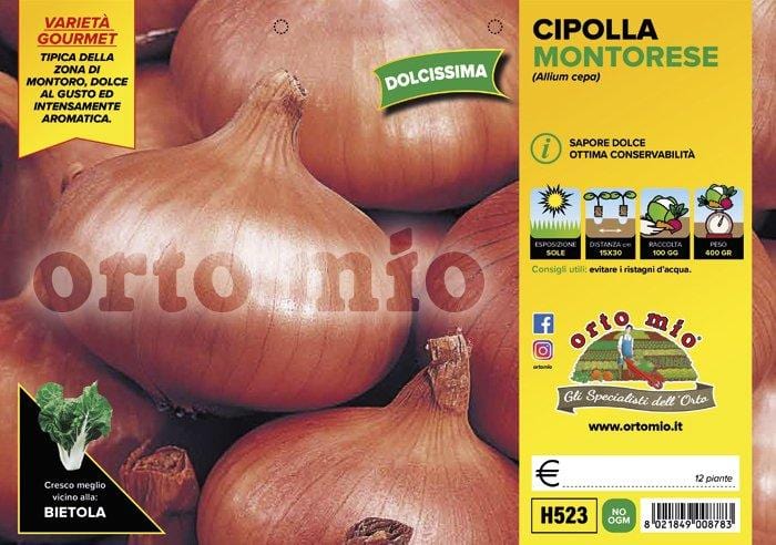 Cipolla ramata dolce Montorese - 12 piante - Orto Mio