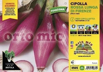 Cipolla rossa lunga di Firenze o Fiascona - 12 piante - Orto Mio
