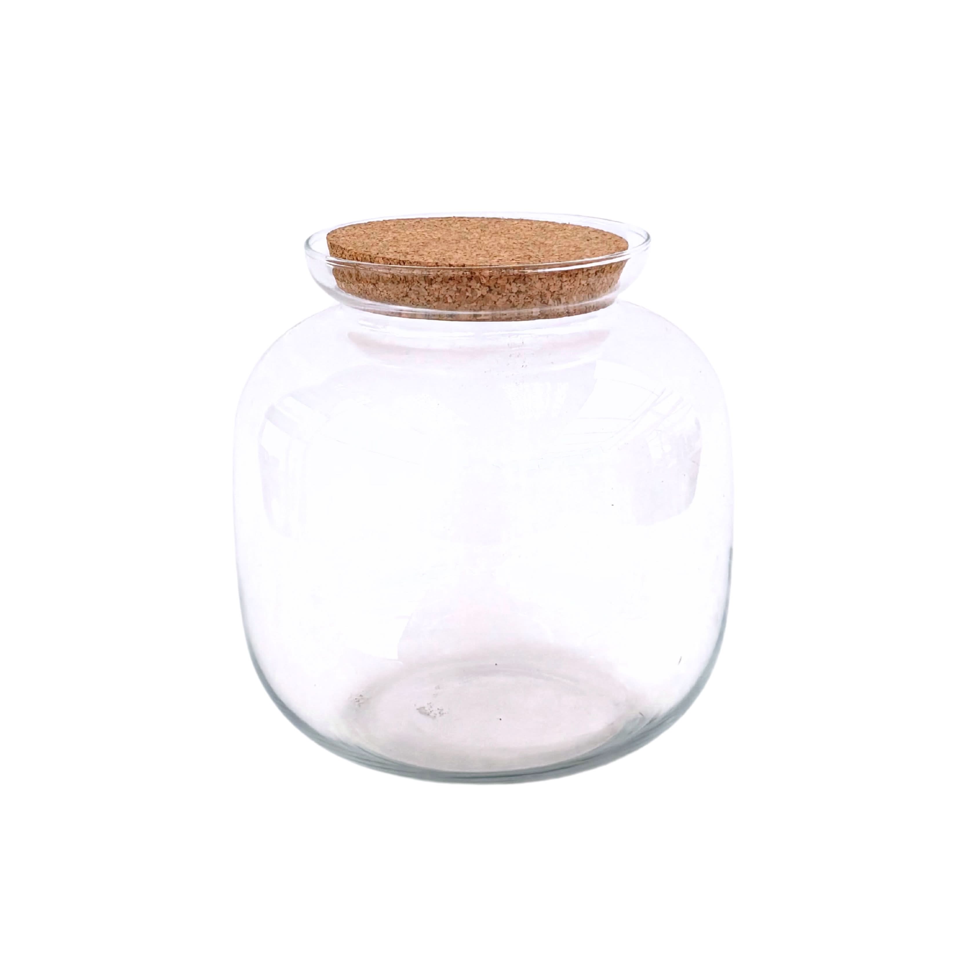 Contenitore Grande in Vetro Soffiato per Terrarium