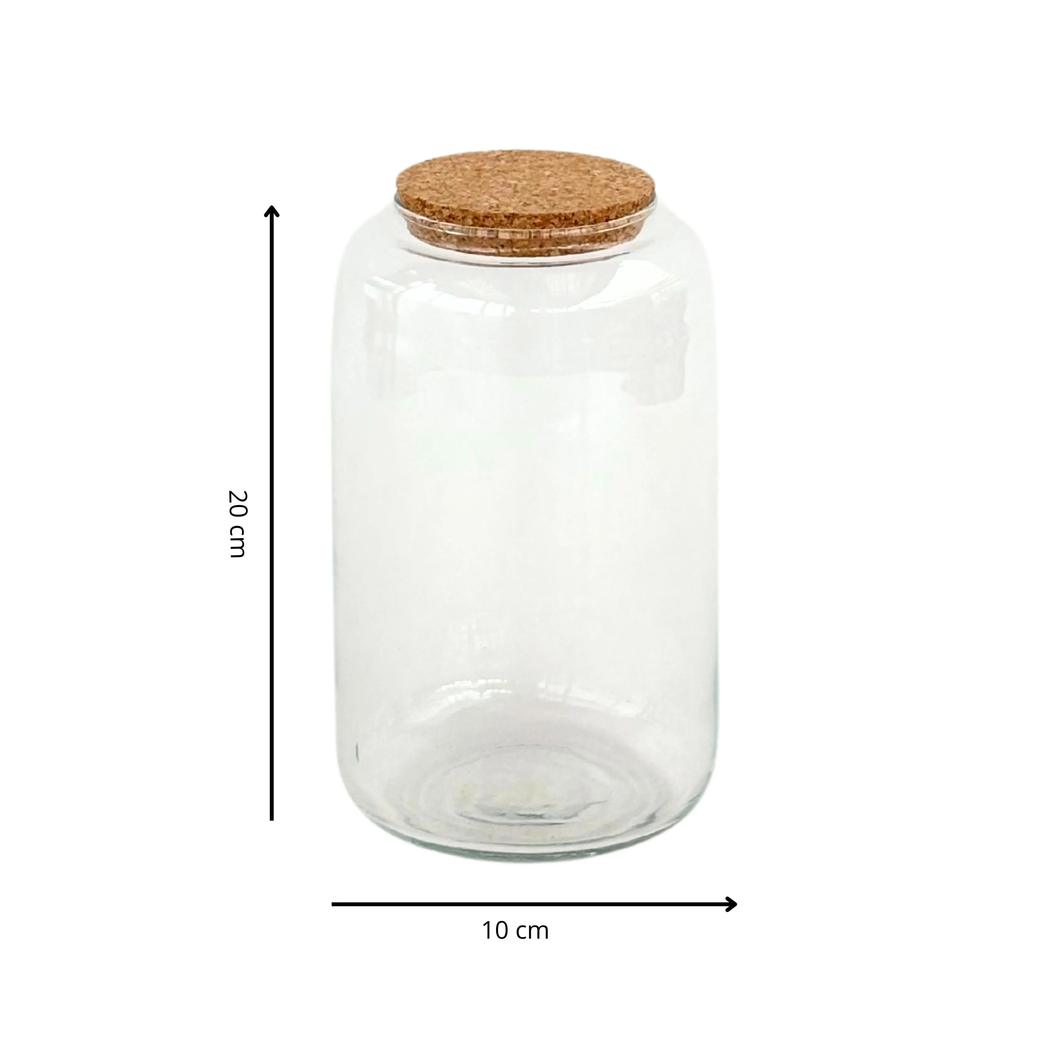 Contenitore Piccolo in Vetro Soffiato per Terrarium