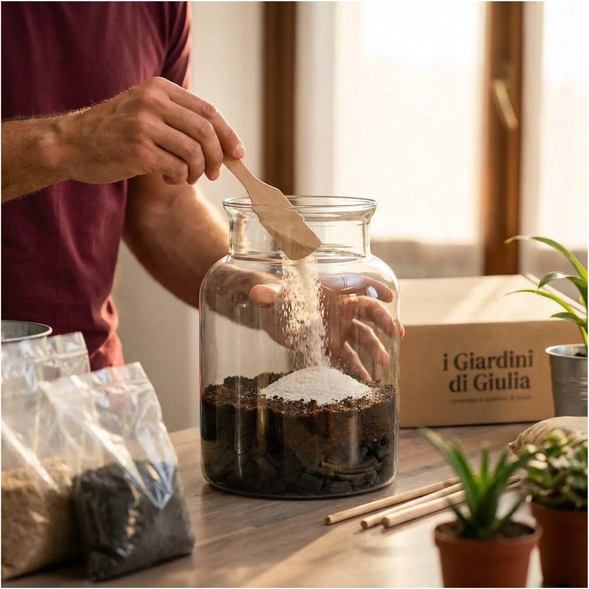 Kit per terrarium fai da con piantine senza contenitore