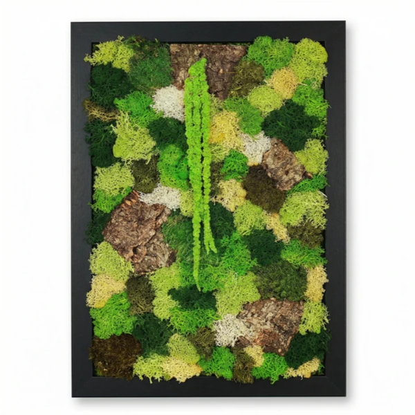 Quadro in Muschio e Licheni Stabilizzati 35x50 cm – EcoMosaico | Made in Italy