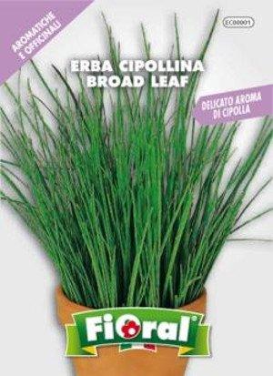 Erba Cipollina - Sementi di Aromatica - Fioral