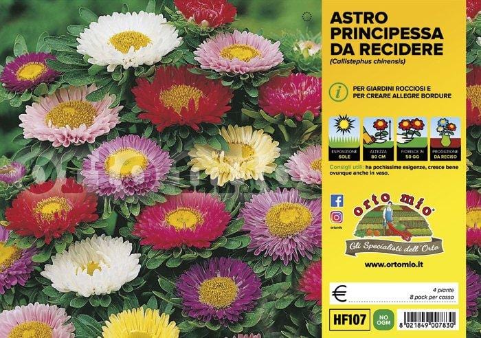 Fiori da recidere Astro - 4 piante - Orto Mio