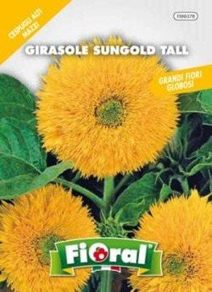 Floral GIRASOLE SUNGOLD TALL busta sementi
