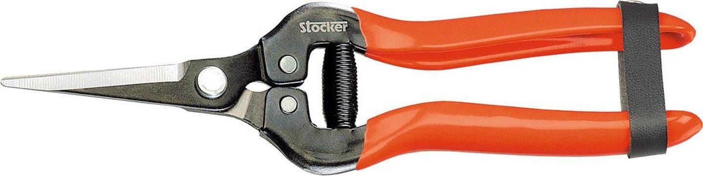 Forbice speciale vendemmia - 19 cm - Stocker
