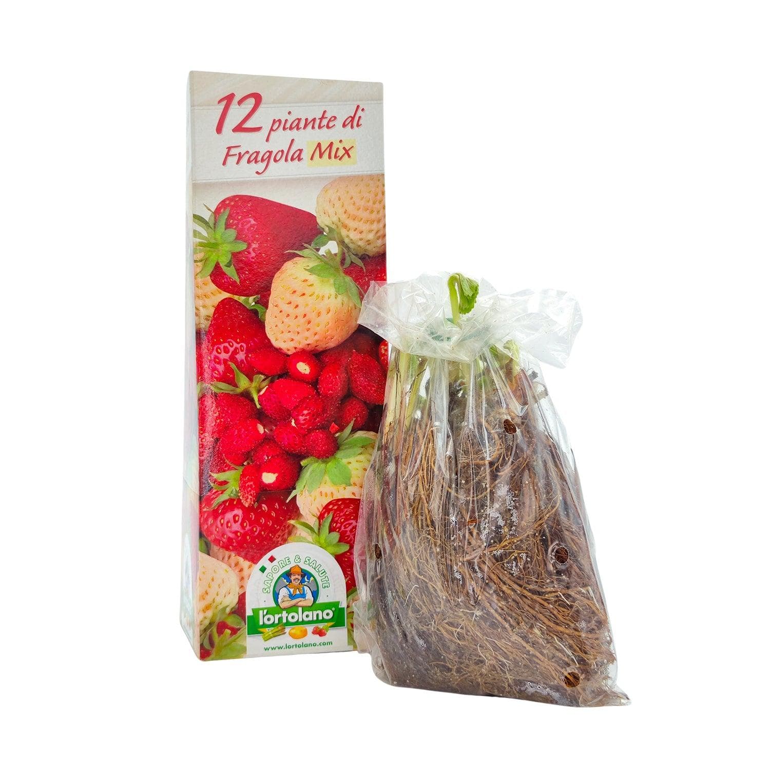 Fragola Mix - 12 piante - L'Ortolano