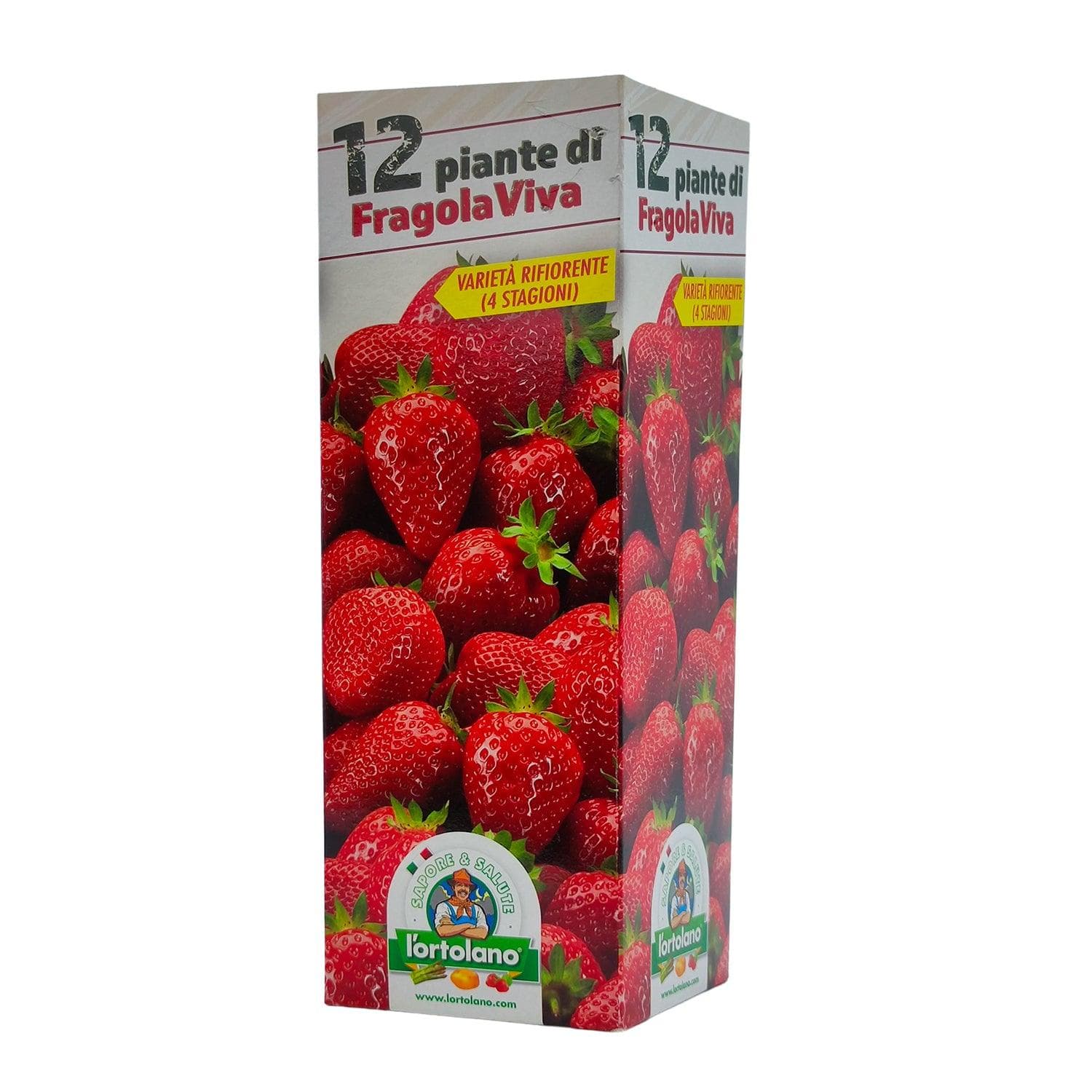 Fragola Viva - 12 piante - L'Ortolano