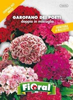 Garofano dei Poeti Doppio Miscuglio - Fioral