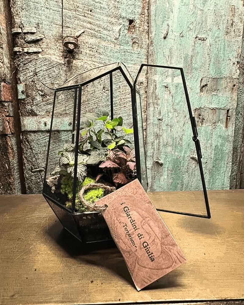 Kit Fai Da Te Terrarium Completo Geometrico  Florine