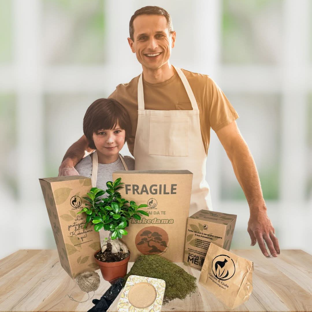 Kit Kokedama Fai da te Bonsai Ginseng Tutto Incluso