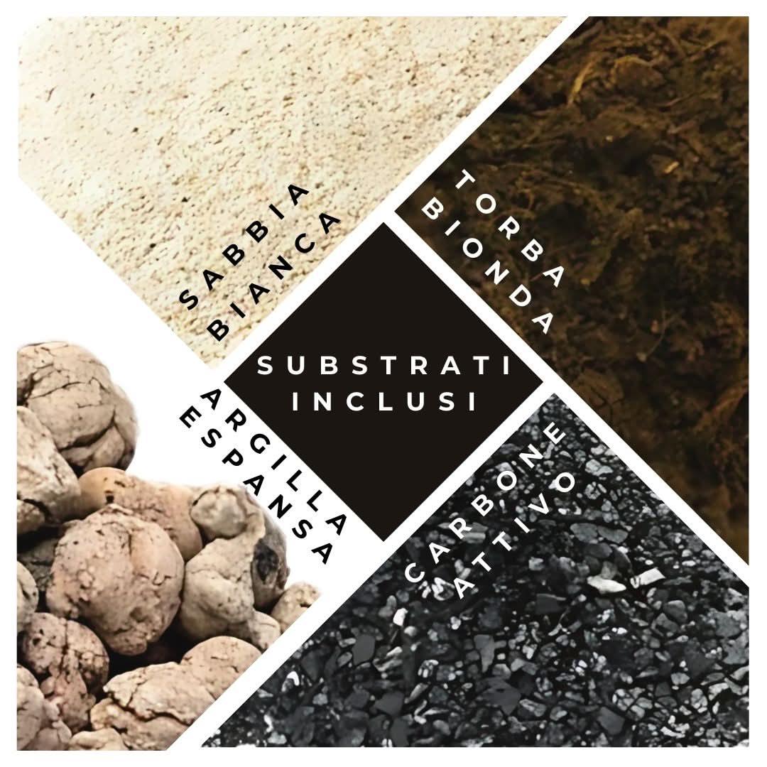 Kit per terrarium fai da con piantine senza contenitore