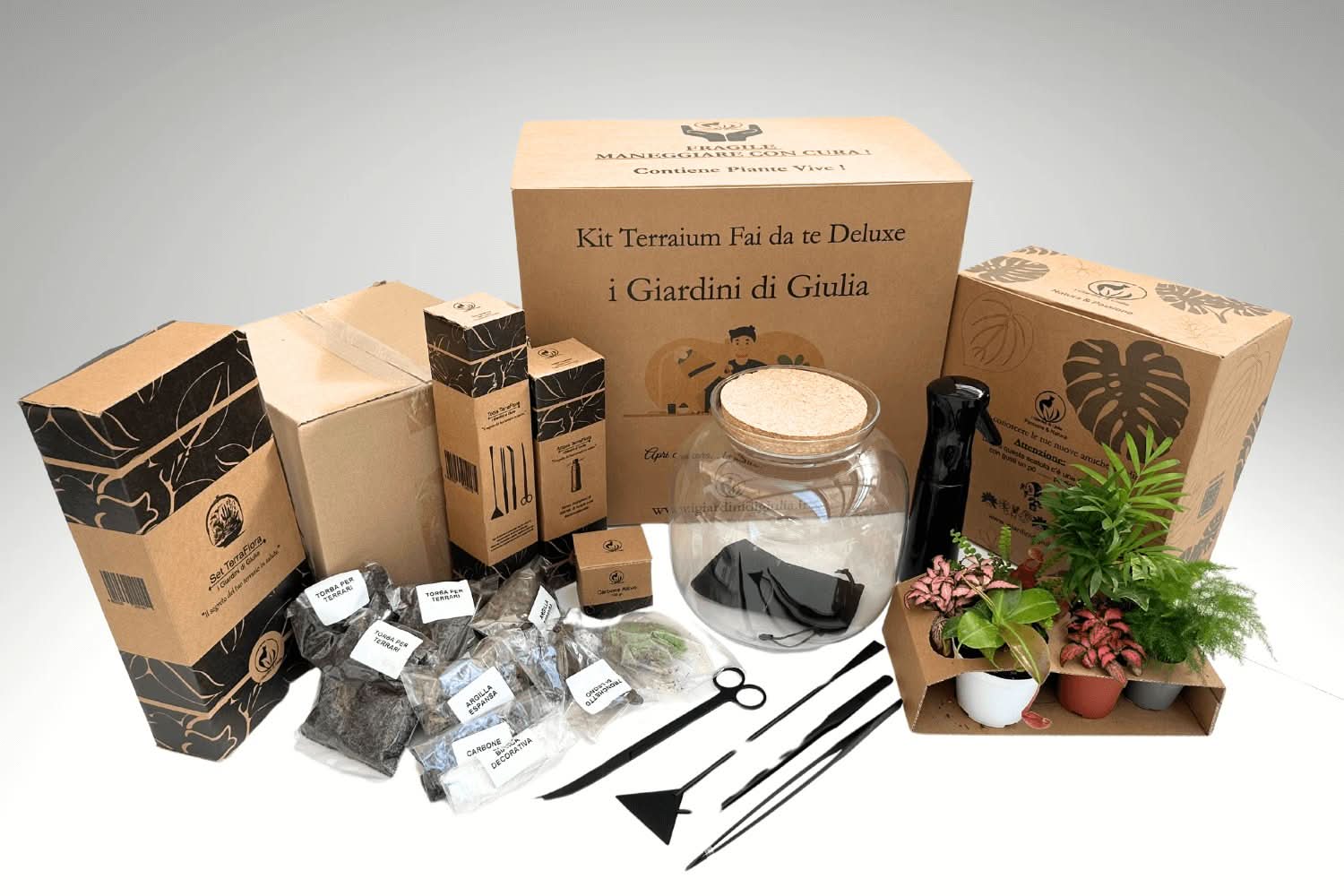 Kit Terrarium Fai Da Te Master | Il Super Kit per Creare un Giardino in Vetro Unico