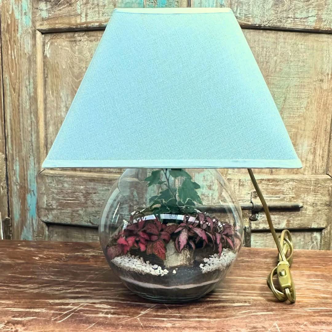 Kit Terrarium Lamparium Medio con piante verdi