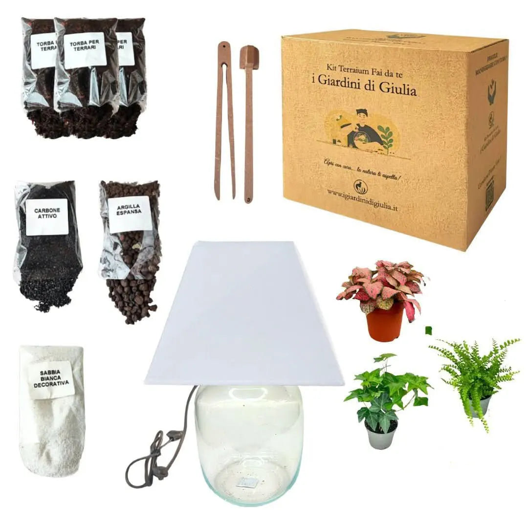 Kit Terrarium Lamparium Medio con piante verdi
