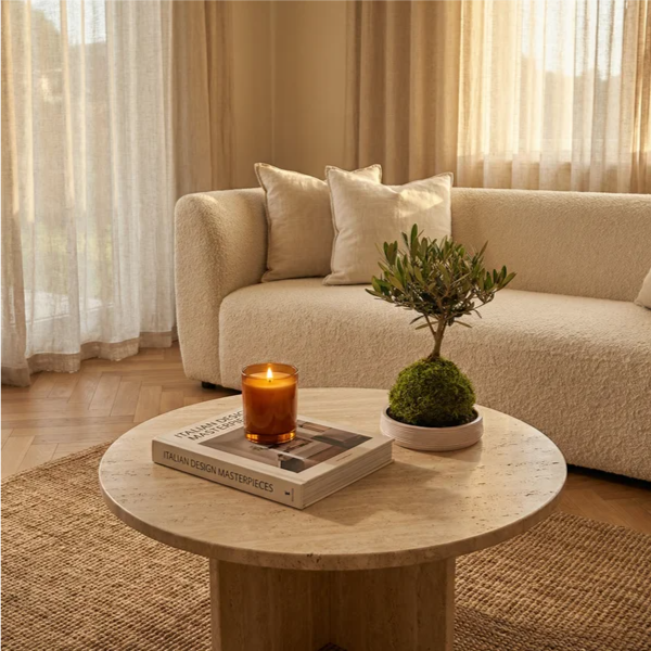 Kokedama Bonsai  Olivo