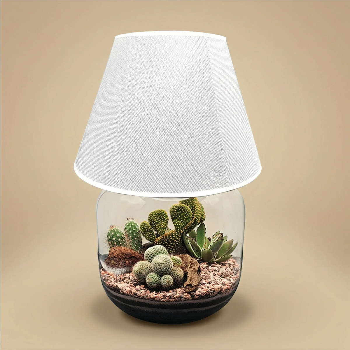Terrarium Lamparium Martina Cactus