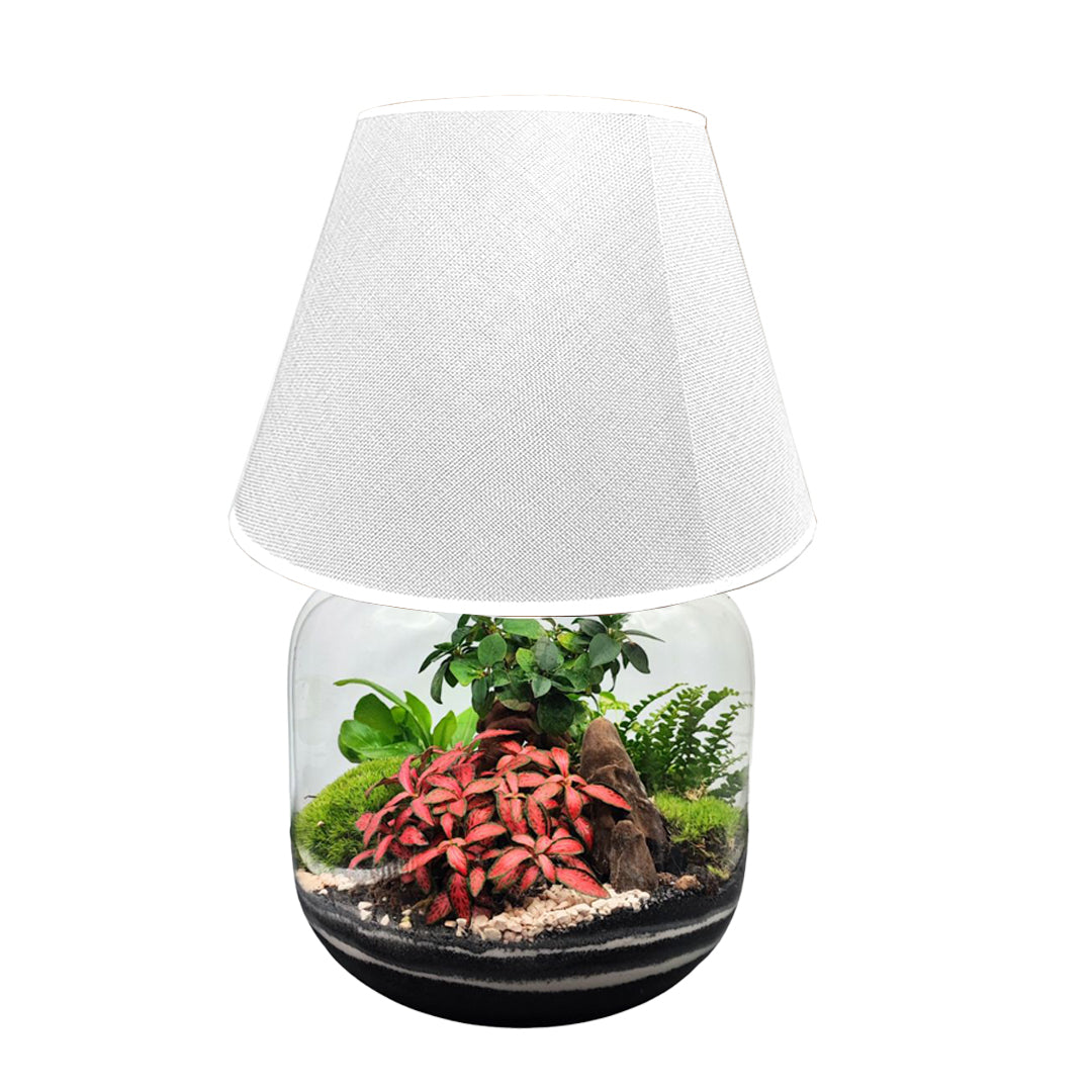 Terrarium Lamparium Martina