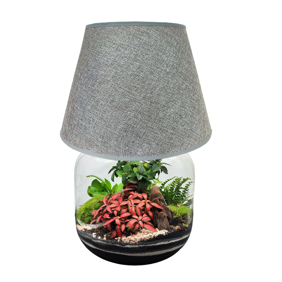 Terrarium Lamparium Martina