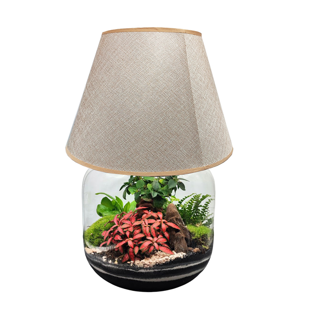 Terrarium Lamparium Martina