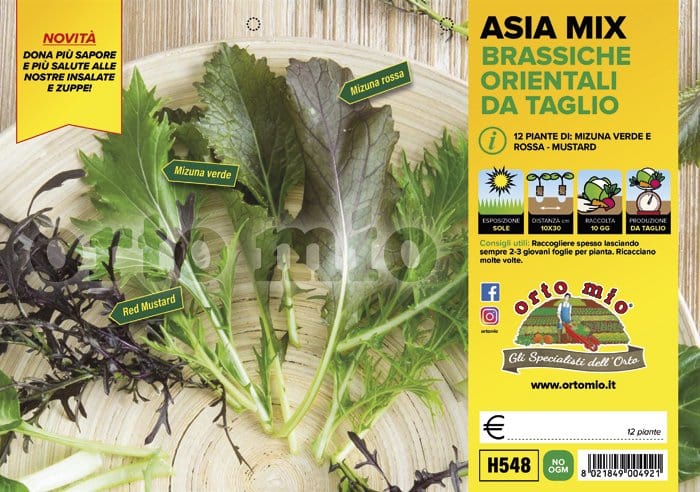 Lattuga Mix di brassiche Orientali Asia Mix - 12 piante - Orto Mio