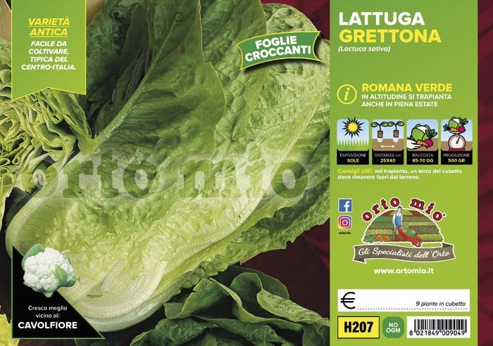 Lattuga romana verde Grettona - 9 piante - Orto Mio