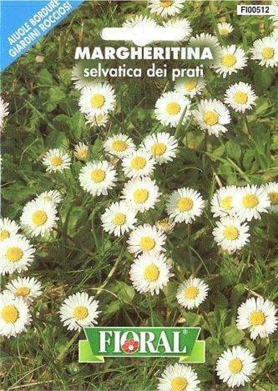 Margheritina Selvatica dei Prati in semi - Fioral