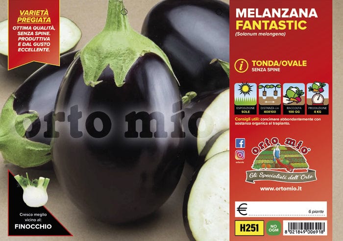 Melanzana tonda ovale Fantastic F1 - 6 piante - Orto Mio