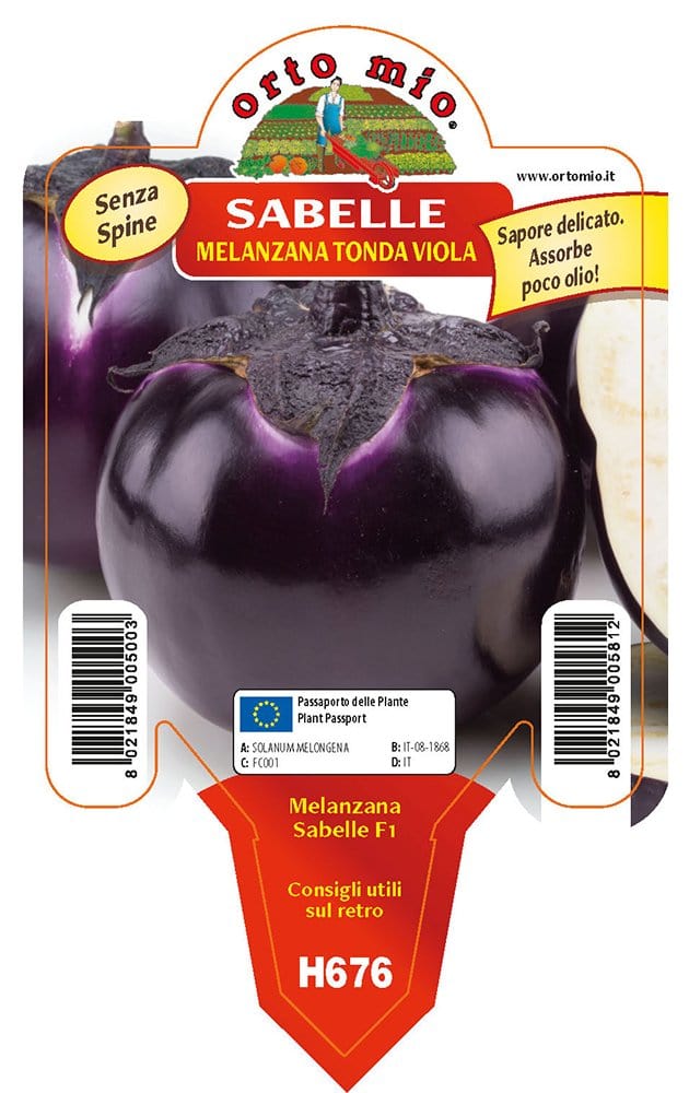 Melanzana tonda viola Sabelle F1 - 1 pianta vaso 10 cm - Orto Mio