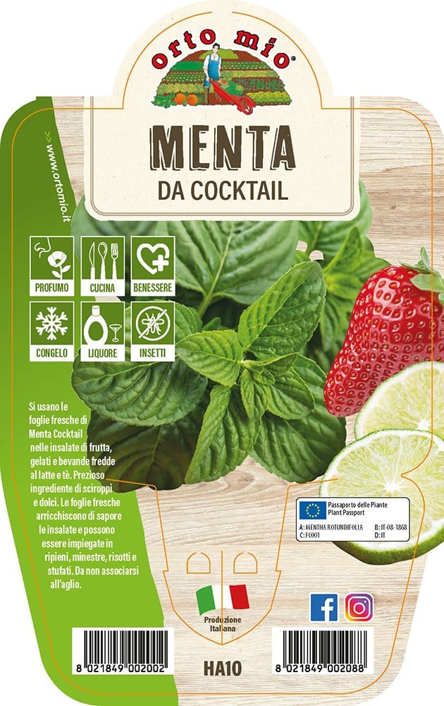 Menta da Cocktail - 1 panta v14.cm - Orto Mio
