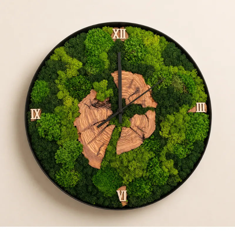 Nemus | Orologio Botanico in Muschio e Ulivo