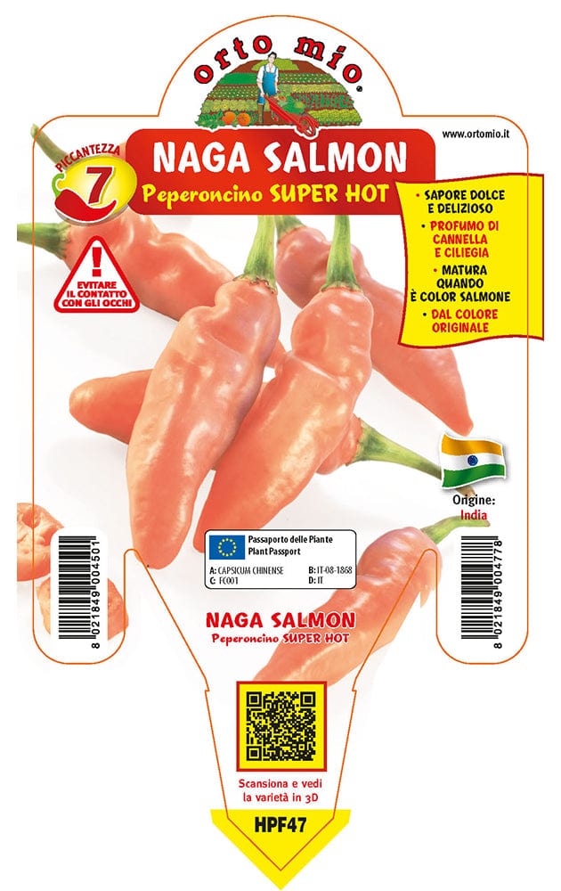Peperoncino piccante SUPER HOT Naga Morich salmone - 1 pianta v.14 cm - Orto Mio