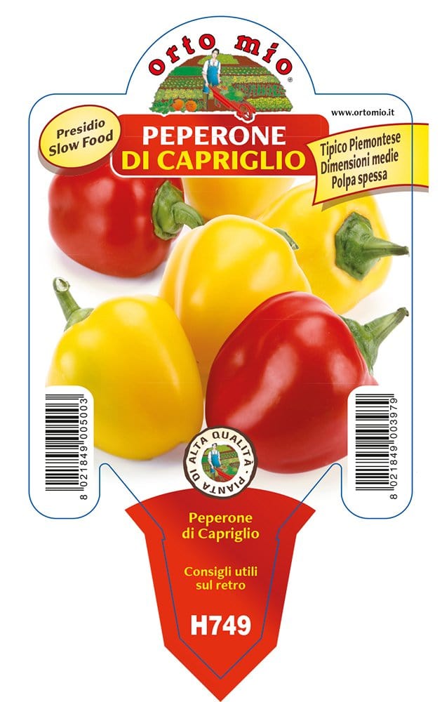 Peperone di Capriglio - 1 pianta v.10 cm - Orto Mio