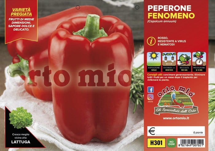 Peperone rosso Fenomeno Macio F1 - 6 Piante - Orto Mio