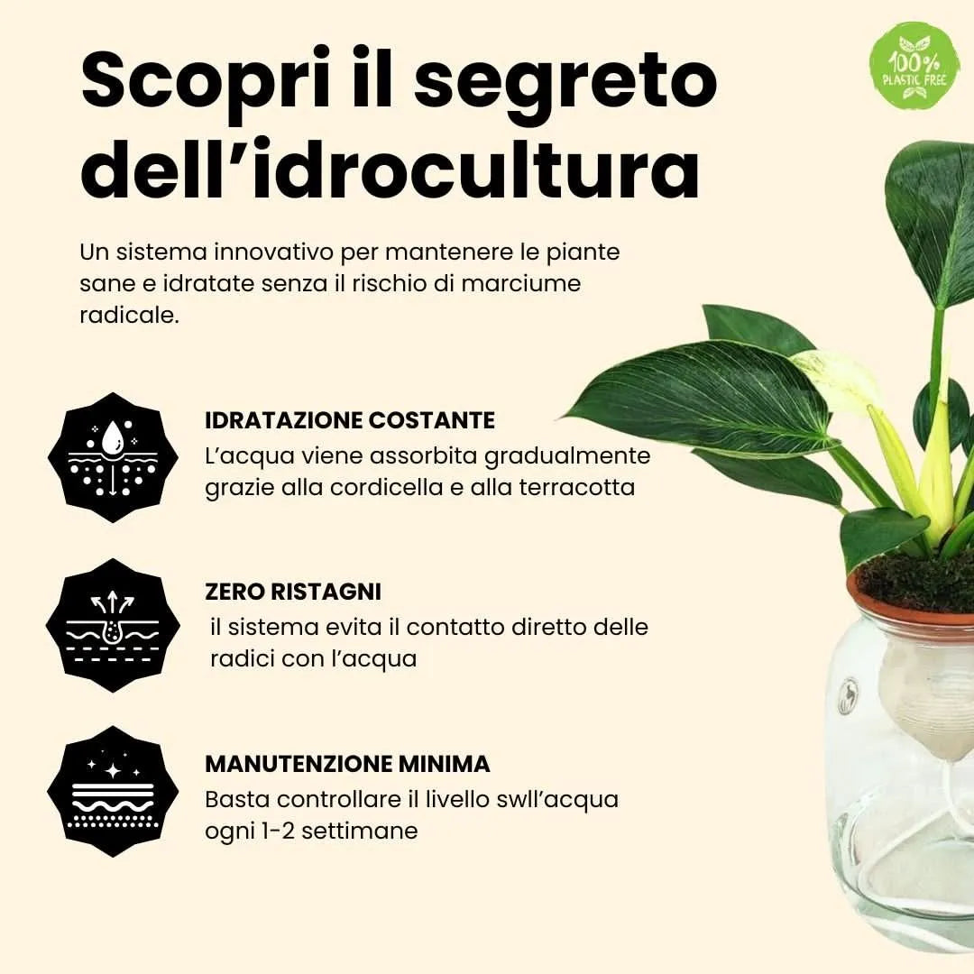 Hydro Terra – Il Verde Senza Pensieri