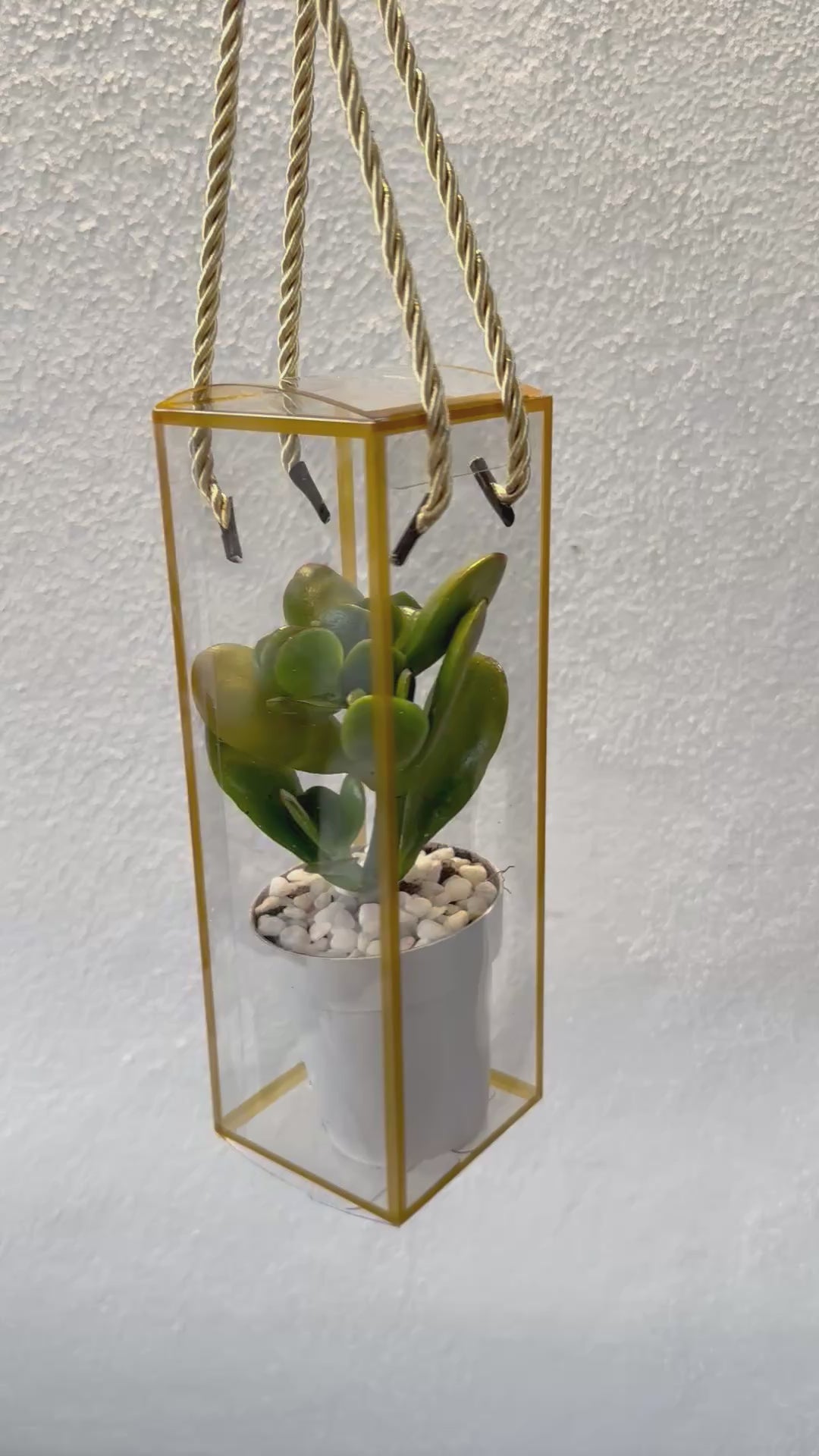 Set 5 Scatoline per Bomboniere 7cm x 7cm x 21cm Trasparenti bordi oro e lacci