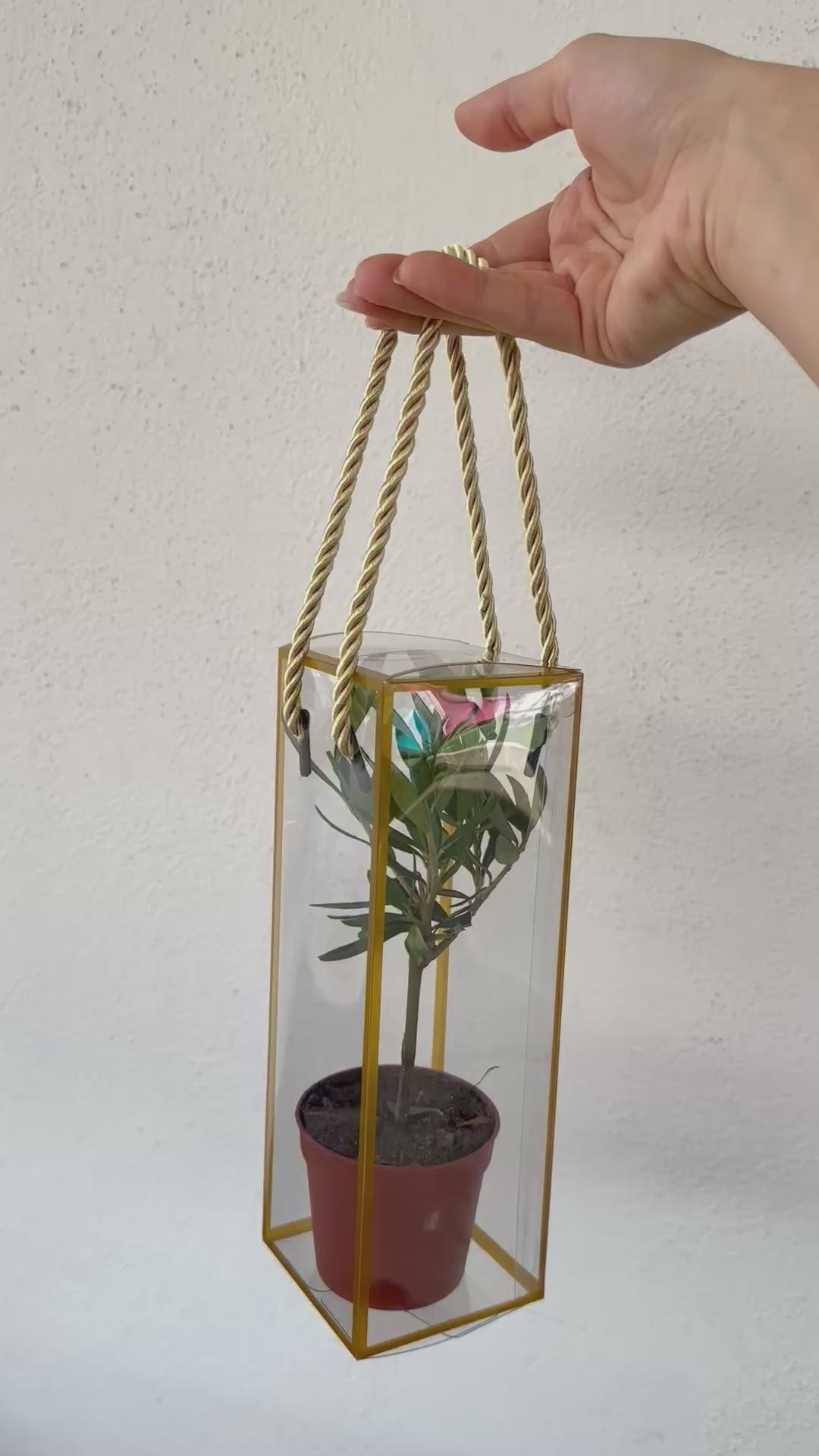 Set 5 Scatoline per Bomboniere 7cm x 7cm x 21cm Trasparenti bordi oro e lacci