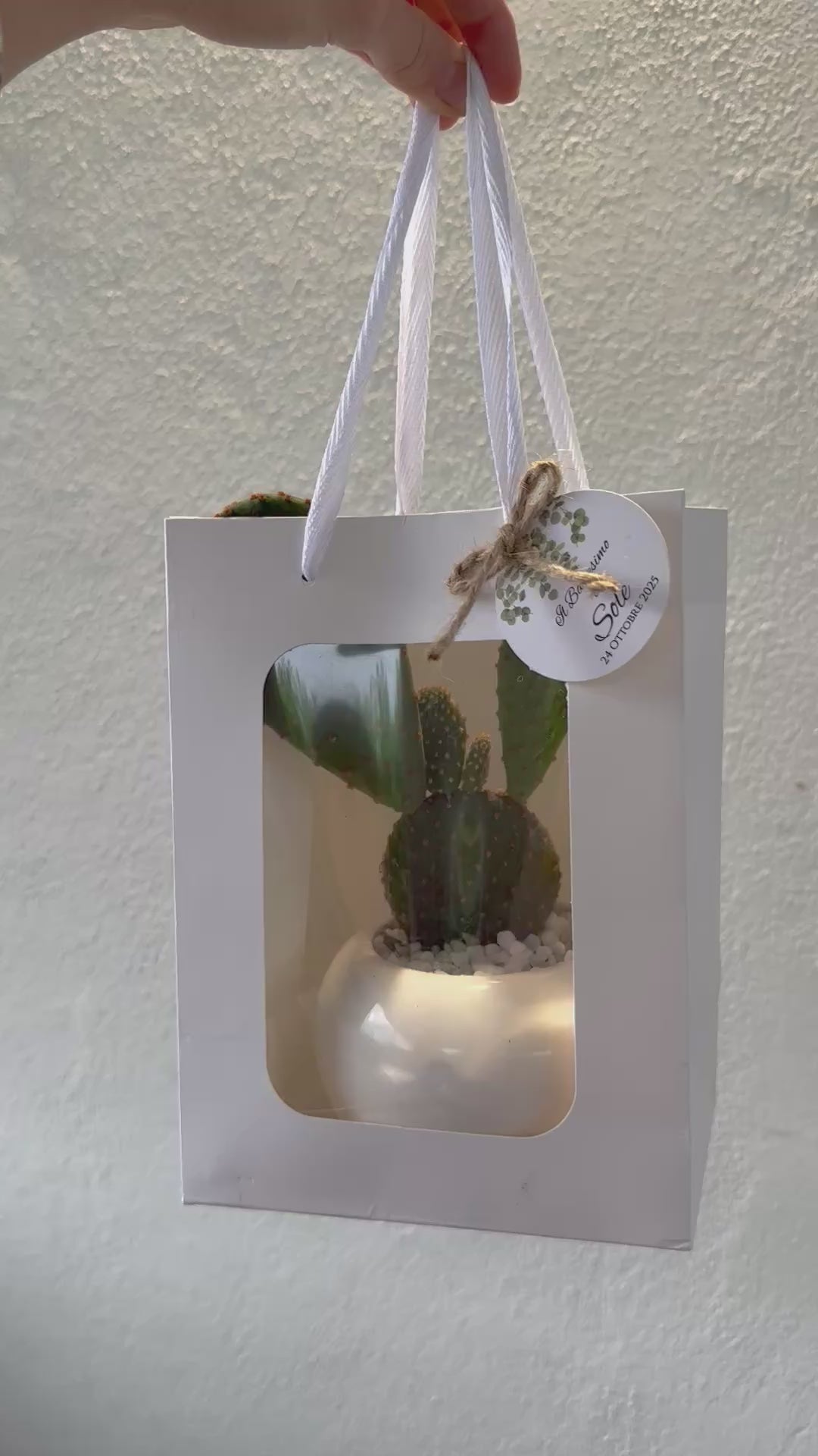 Set 5 Borse per Bomboniere 20cm x 15cm x 10cm con finestra trasparente