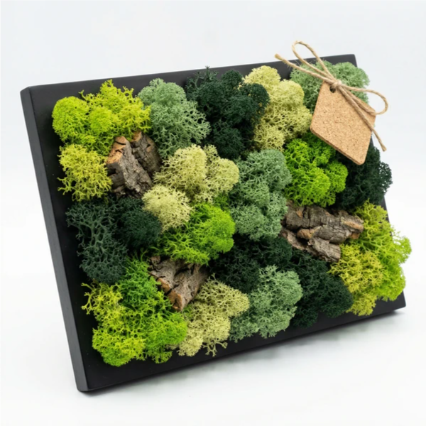 Quadro Mini in Muschio e Licheni Stabilizzati 14,5x24,5 cm edizione festa dei nonni
