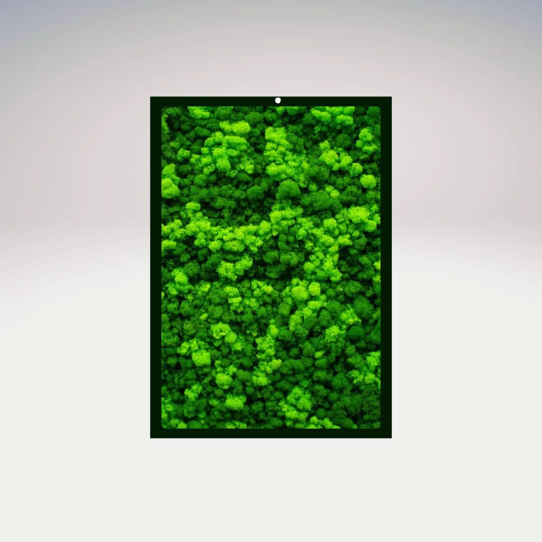 Quadri Rettangolari di Muschio e Lichene