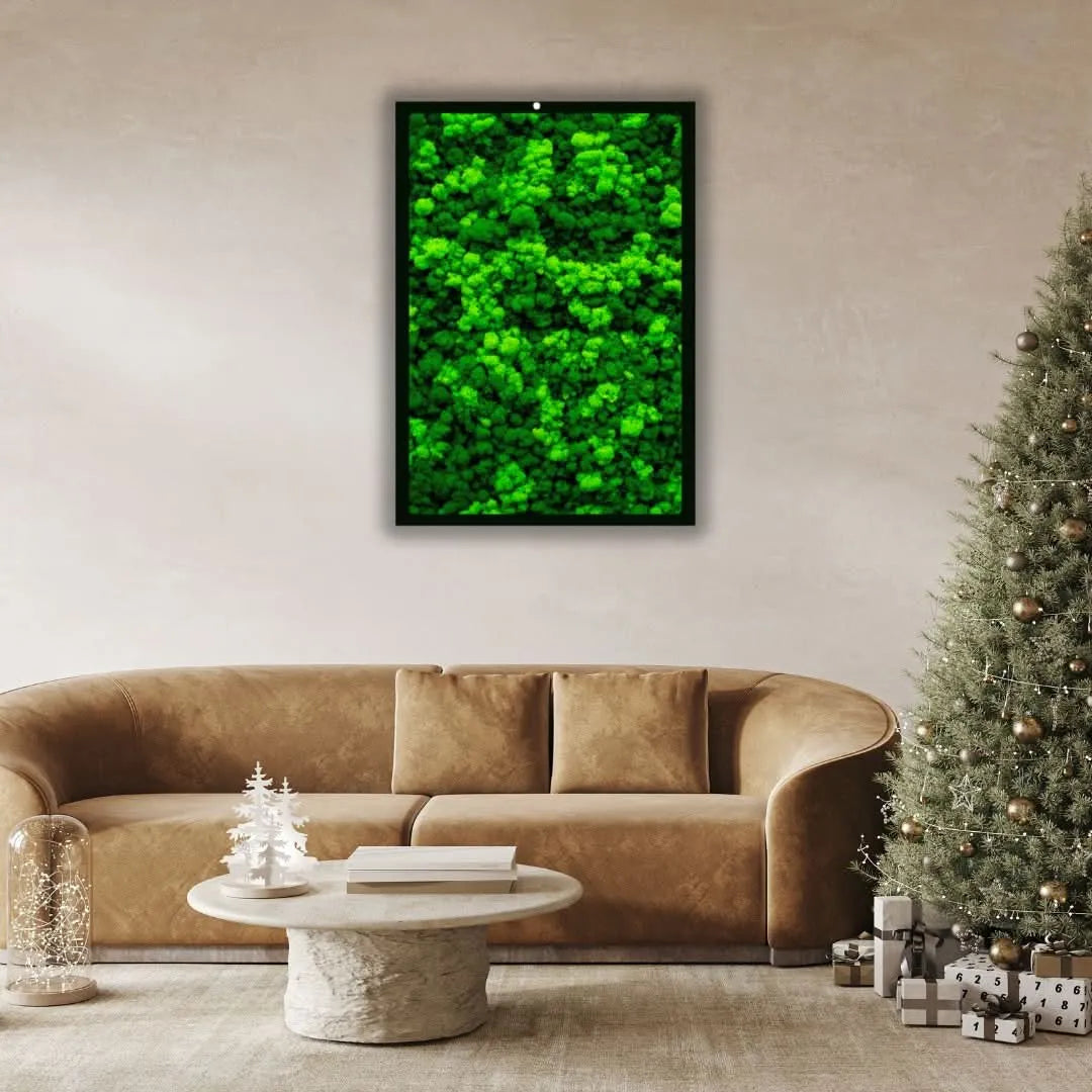 Quadri Rettangolari di Muschio e Lichene