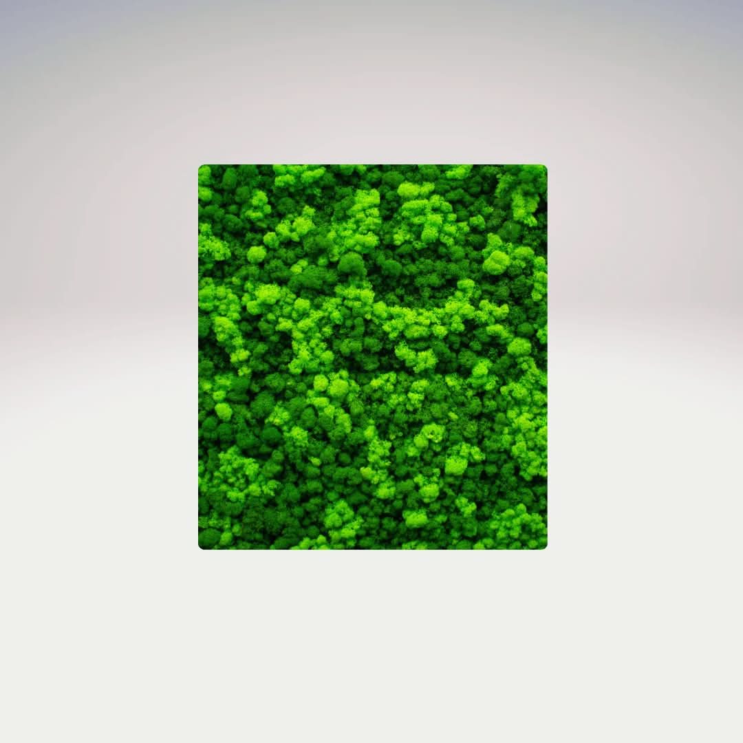 Quadri Rettangolari di Muschio e Lichene