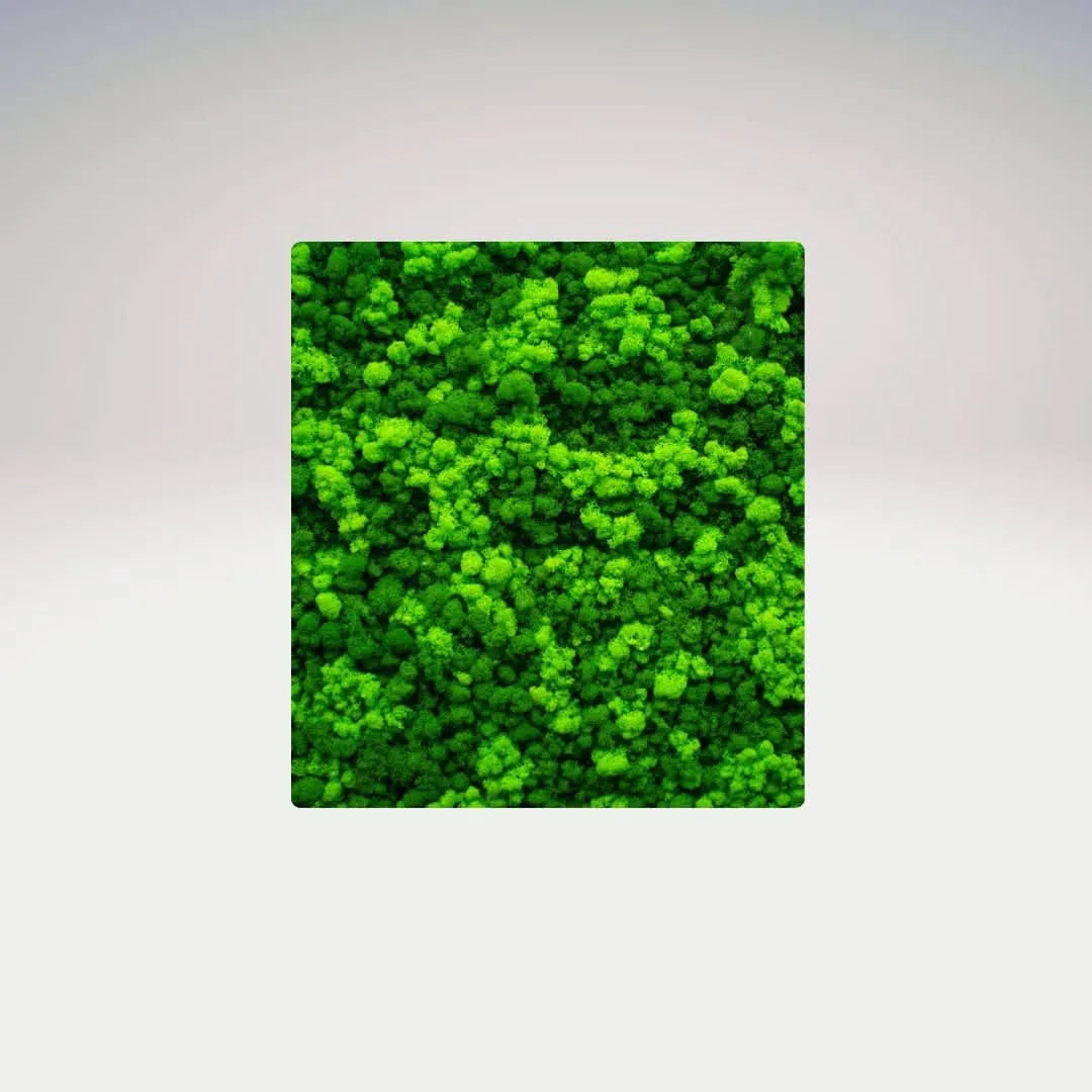 Quadri Rettangolari di Muschio e Lichene