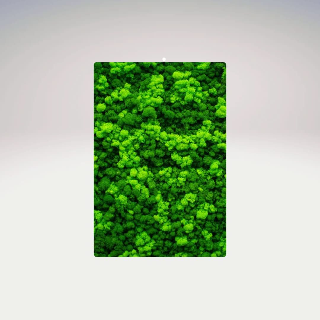 Quadri Rettangolari di Muschio e Lichene